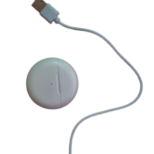 BT6 Headphones